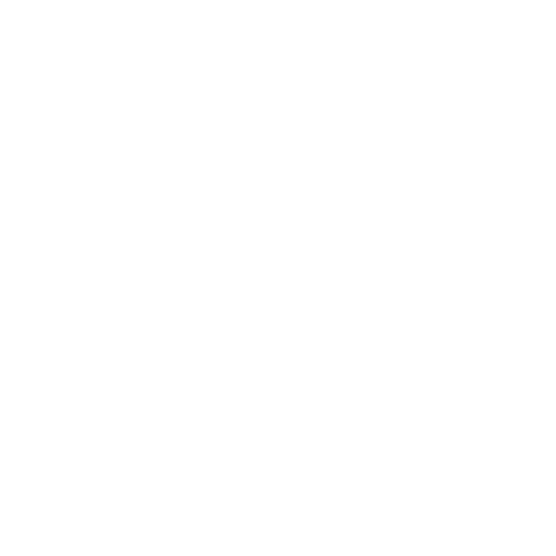 Icon Cerrar